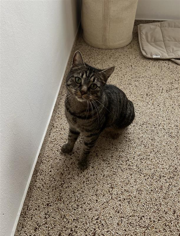 James – enger Freund